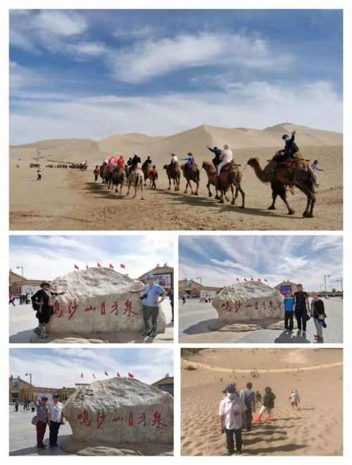 愛旅游丨記者田震帶隊 包火車 游新疆 團友們玩嗨了