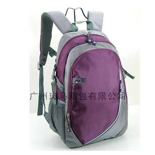 斑馬箱包專業(yè)生產(chǎn)休閑雙肩背包男女旅行包